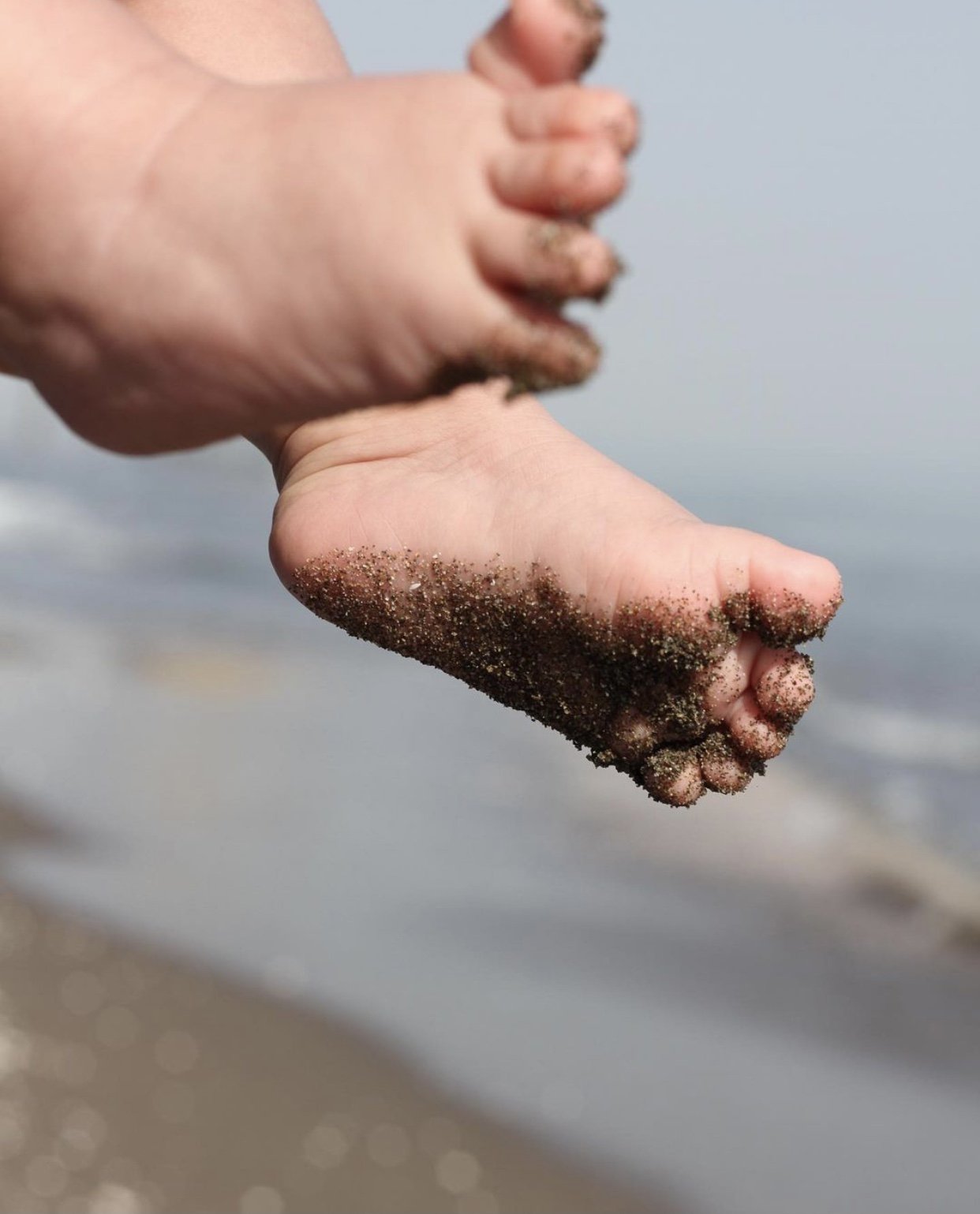 مسابقه تابستان گندم فرجام