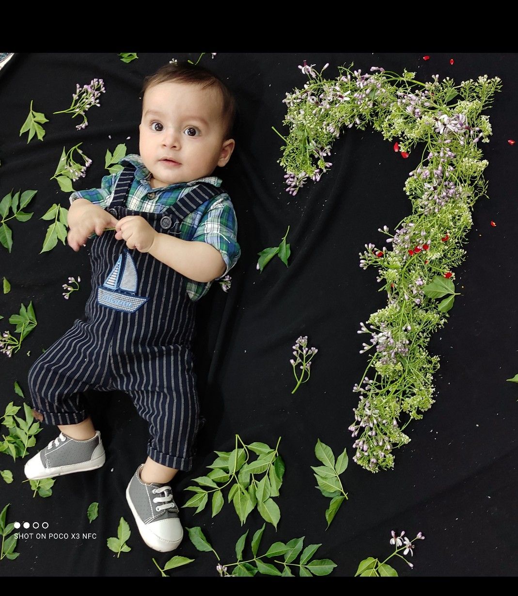 هفت ماهگی نوزاد شاهان نوعپرست