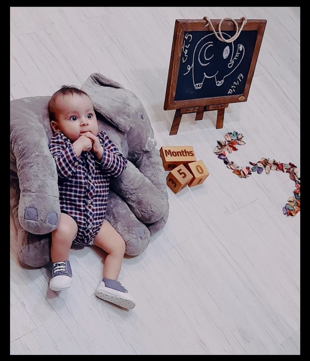 غلتیدن نوزاد شاهان نوعپرست