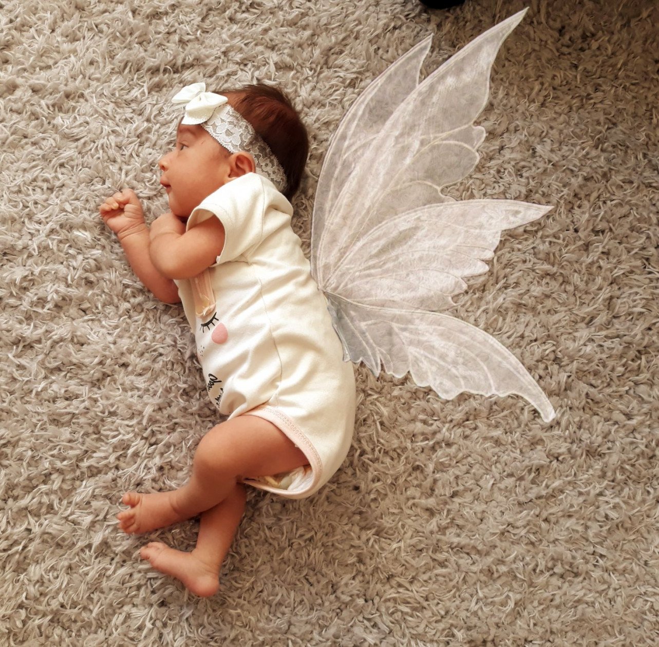 ایده سلوا کلانتری