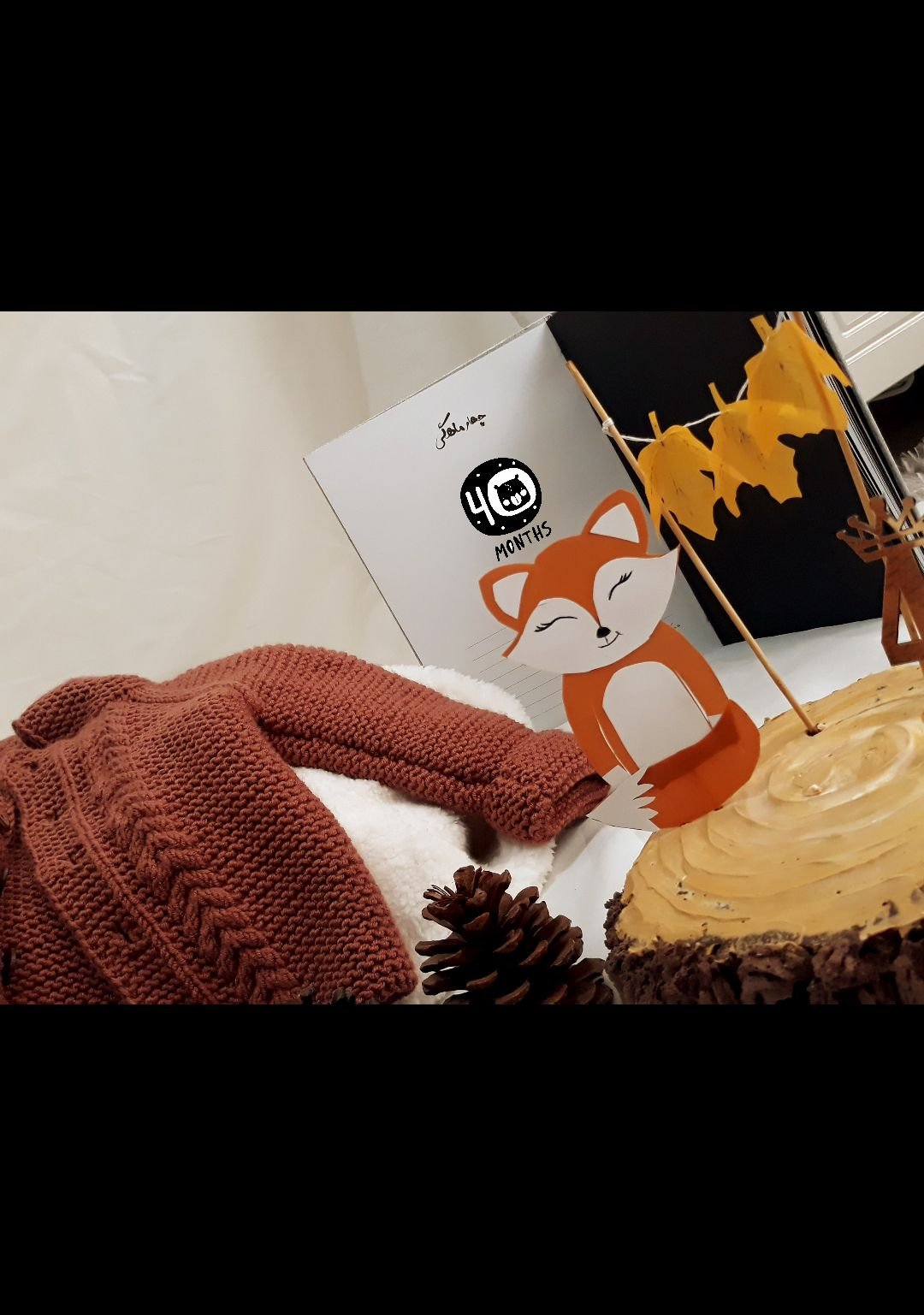 آلبوم خاطرات کودکی سلوا کلانتری