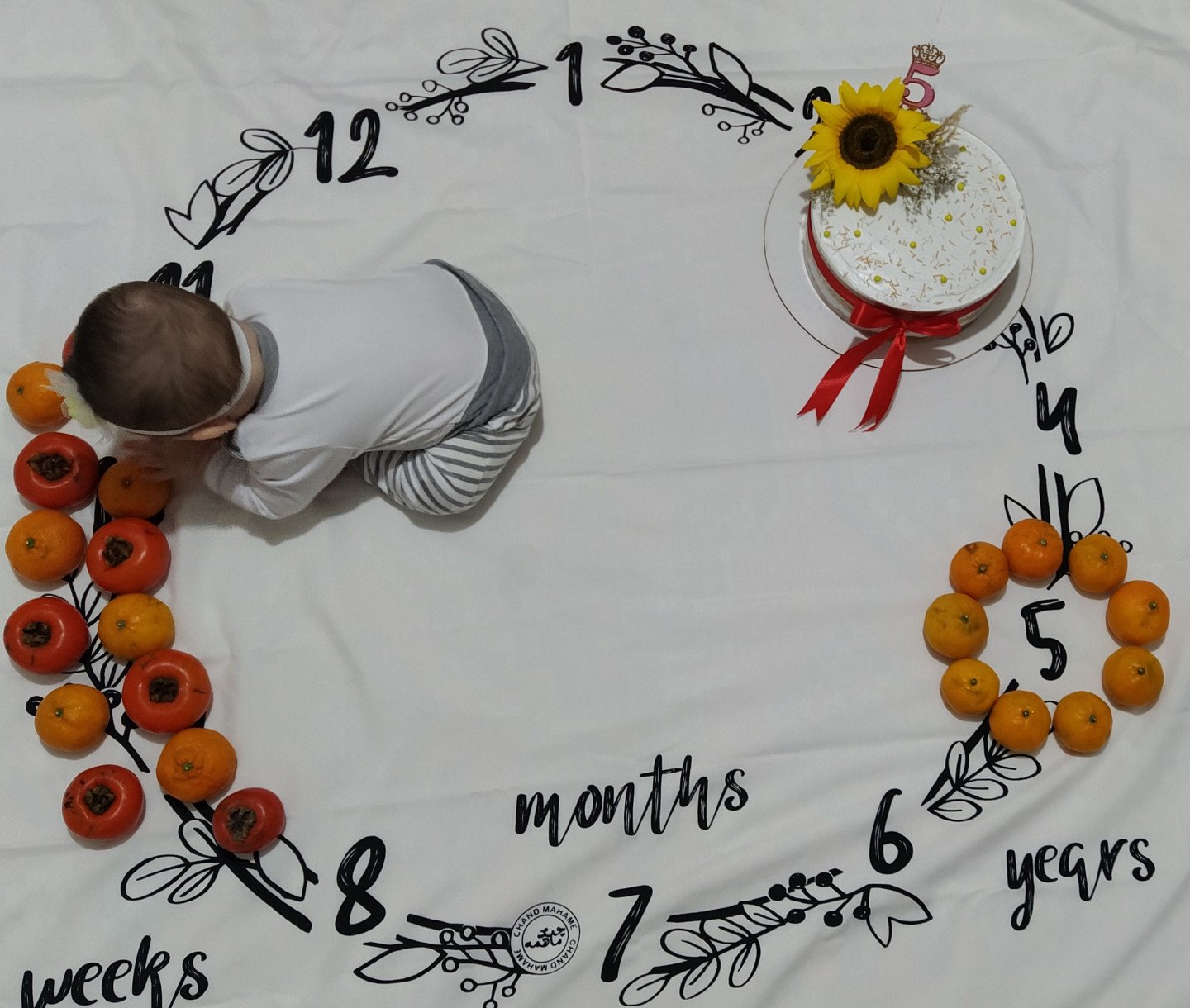 شروع غذای کمکی تانیا کوهی