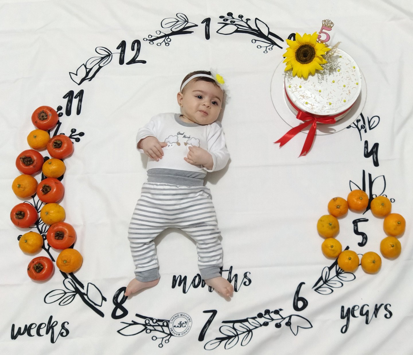 پنج ماهگی نوزاد تانیا کوهی