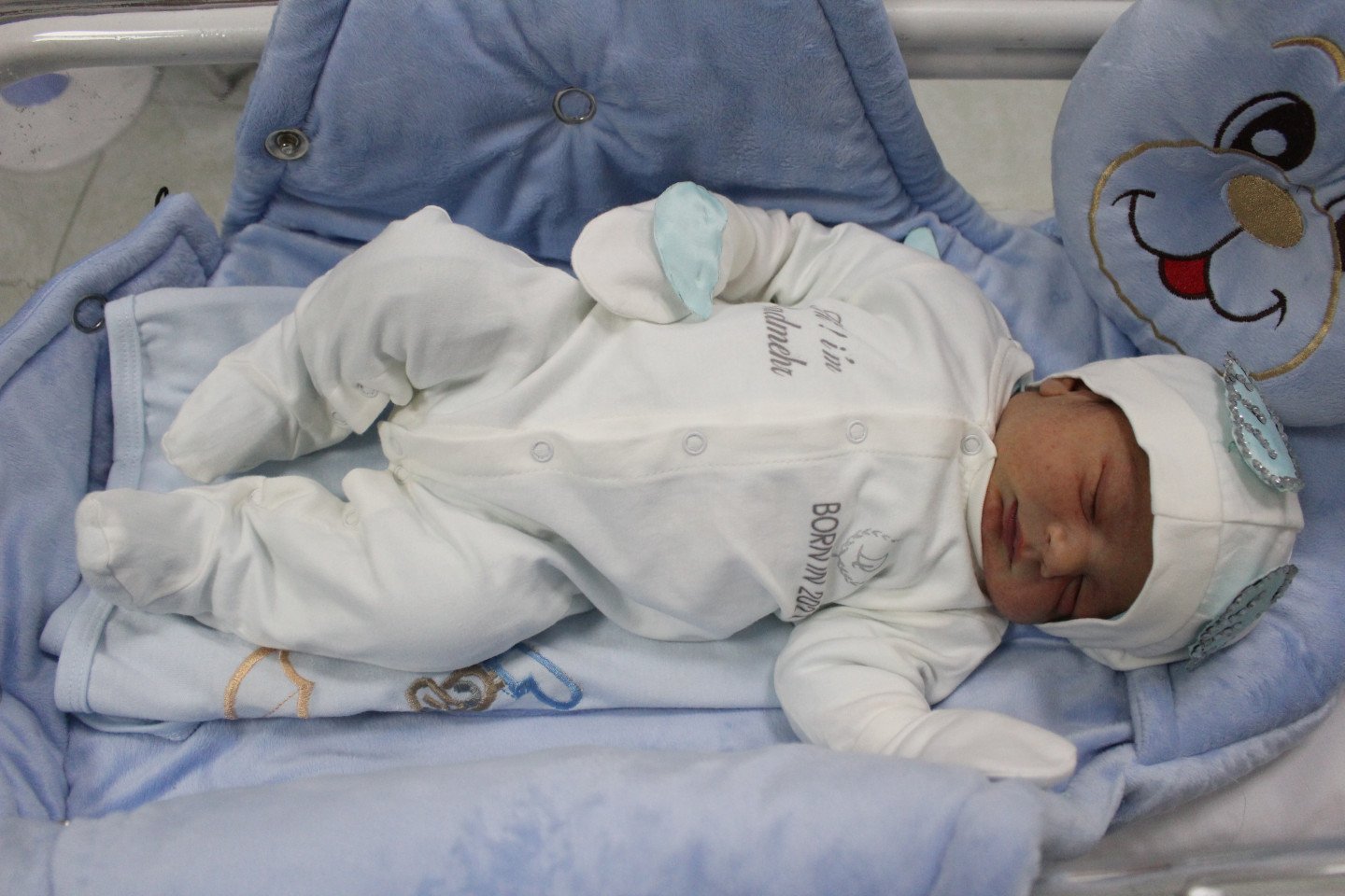 متولد شدن نوزاد رادمهر فیوژ