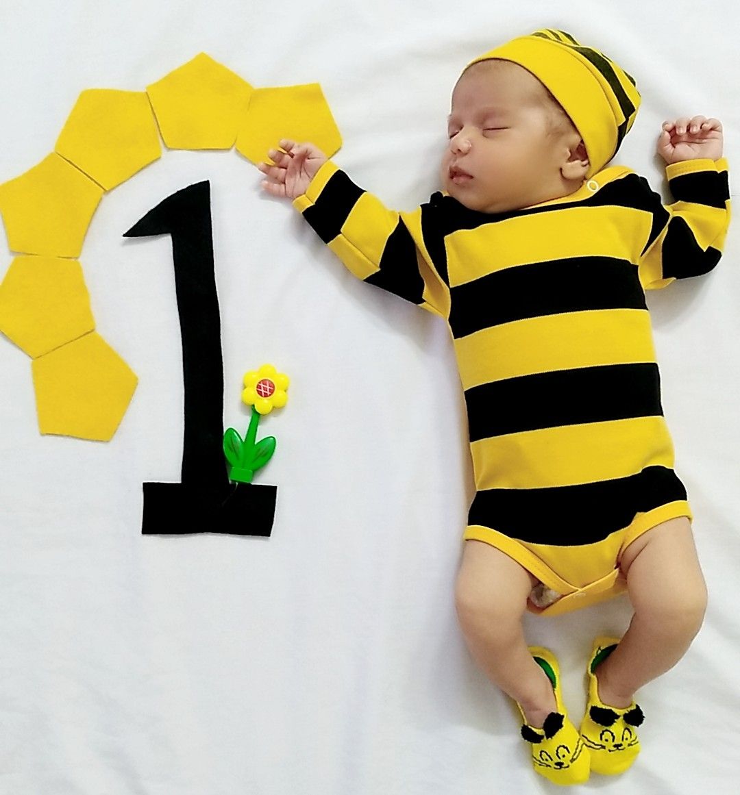 یک ماهگی نوزاد آریانا بیابانی