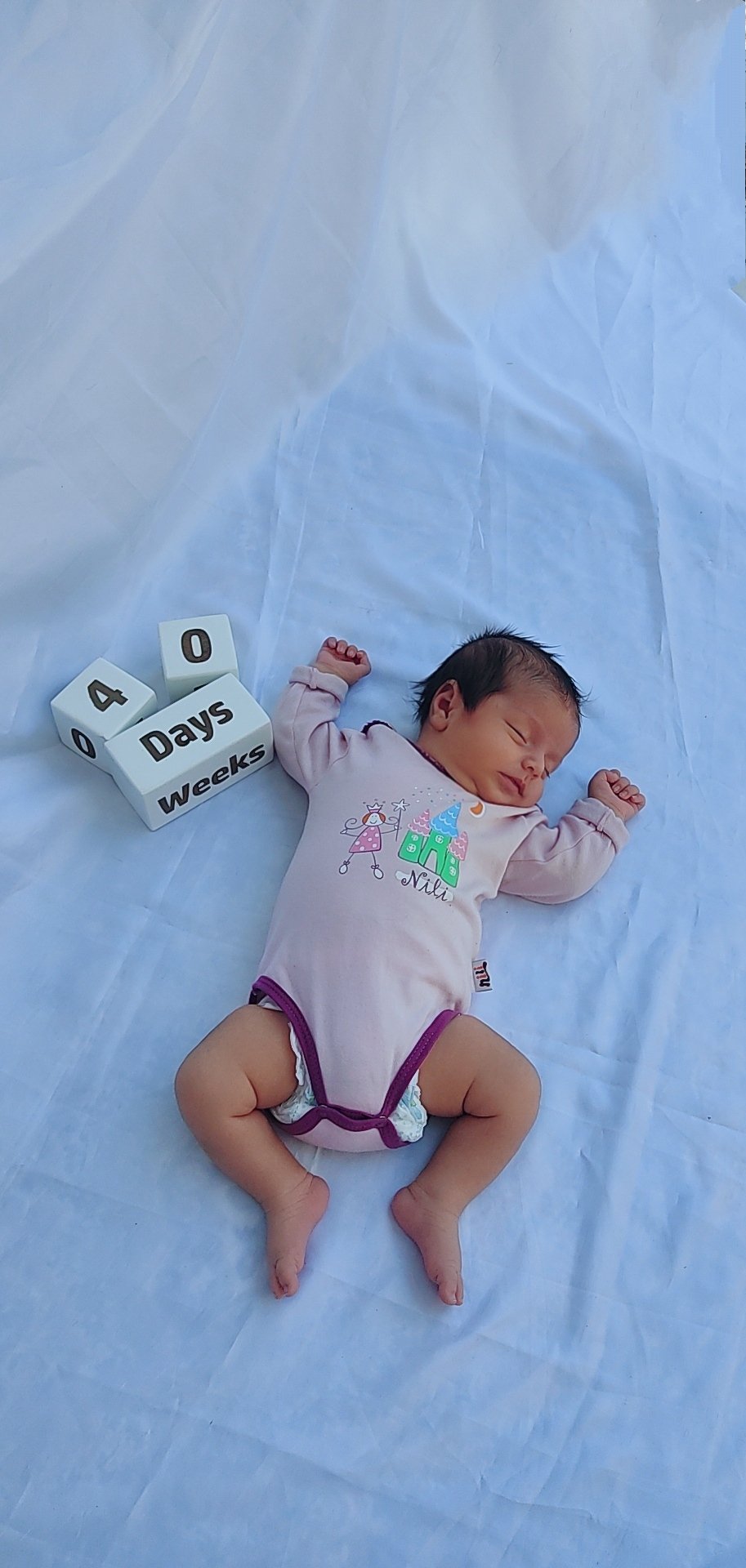 مکعب تاریخ‌شمار لنا محمودی