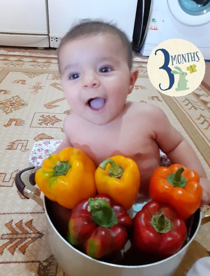 روز-عکاس امیرحافظ یزدی