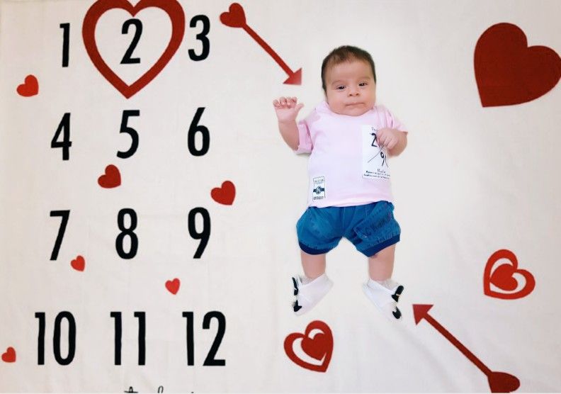 تم-و-تزیینات-عاشقانه-41368