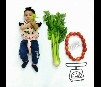 عکاسی با میوه zahra