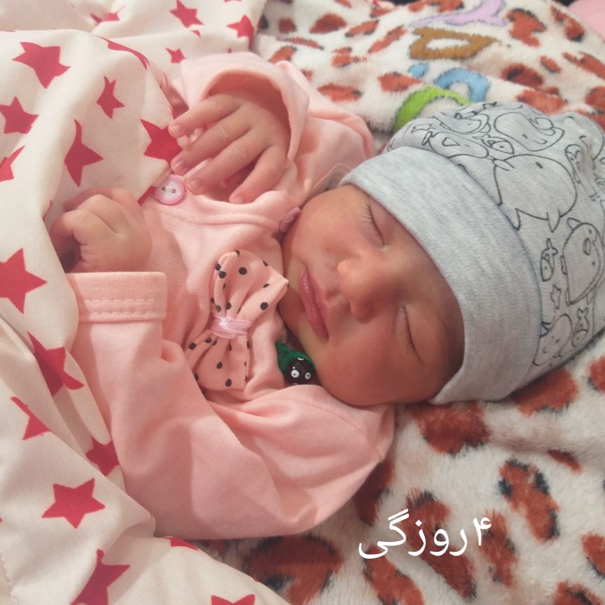 لالا کردنم فریماه شیرجنگ