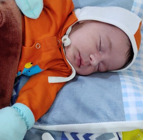 لالا کردنم امیرمحمد رومی نژاد