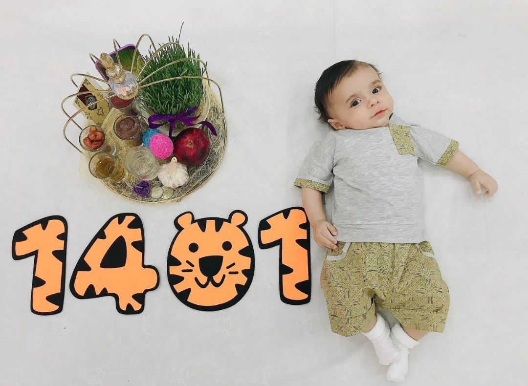 تم عدد سال ببر 1401 امیرمحمد رومی نژاد