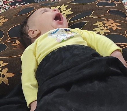 لالا کردنم امیرمحمد رومی نژاد