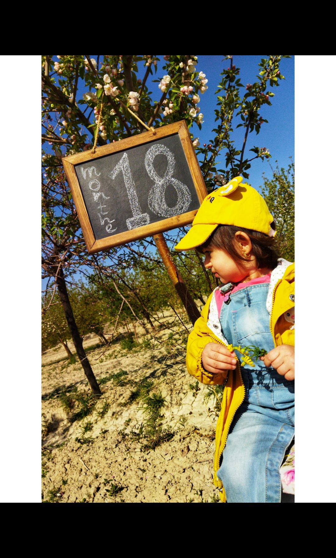 تم عکس بهاری کودک نورا