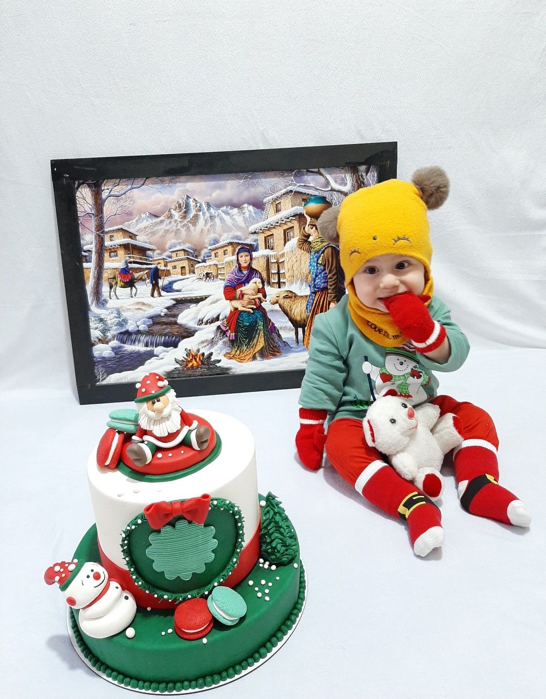 تم عکس زمستانی نوزاد شروین قاسمی