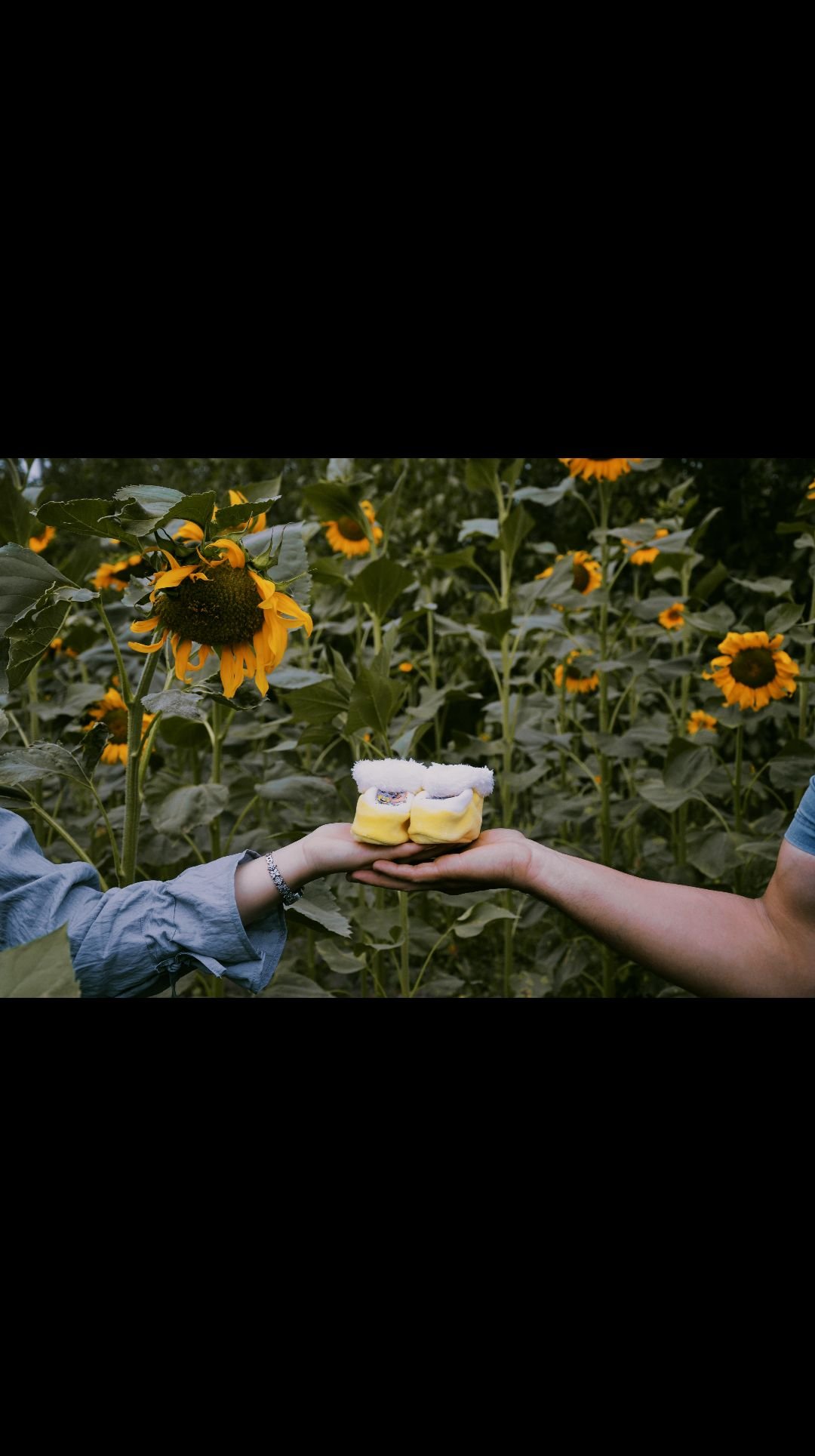 بارداری محمد علی بک زاده