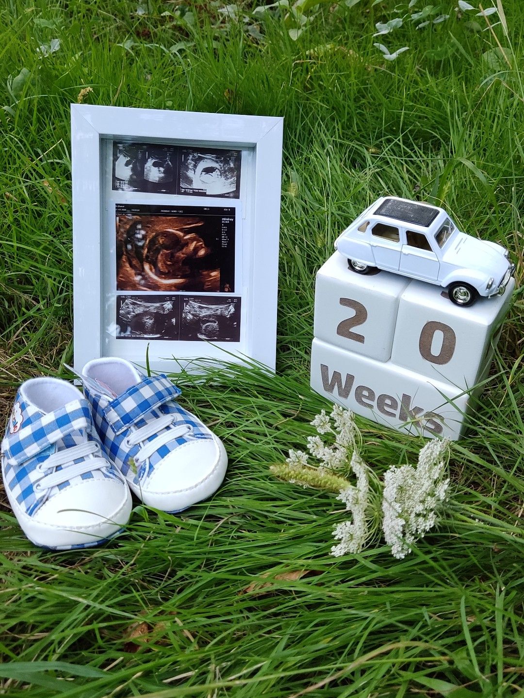 مکعب تاریخشمار محمد علی بک زاده