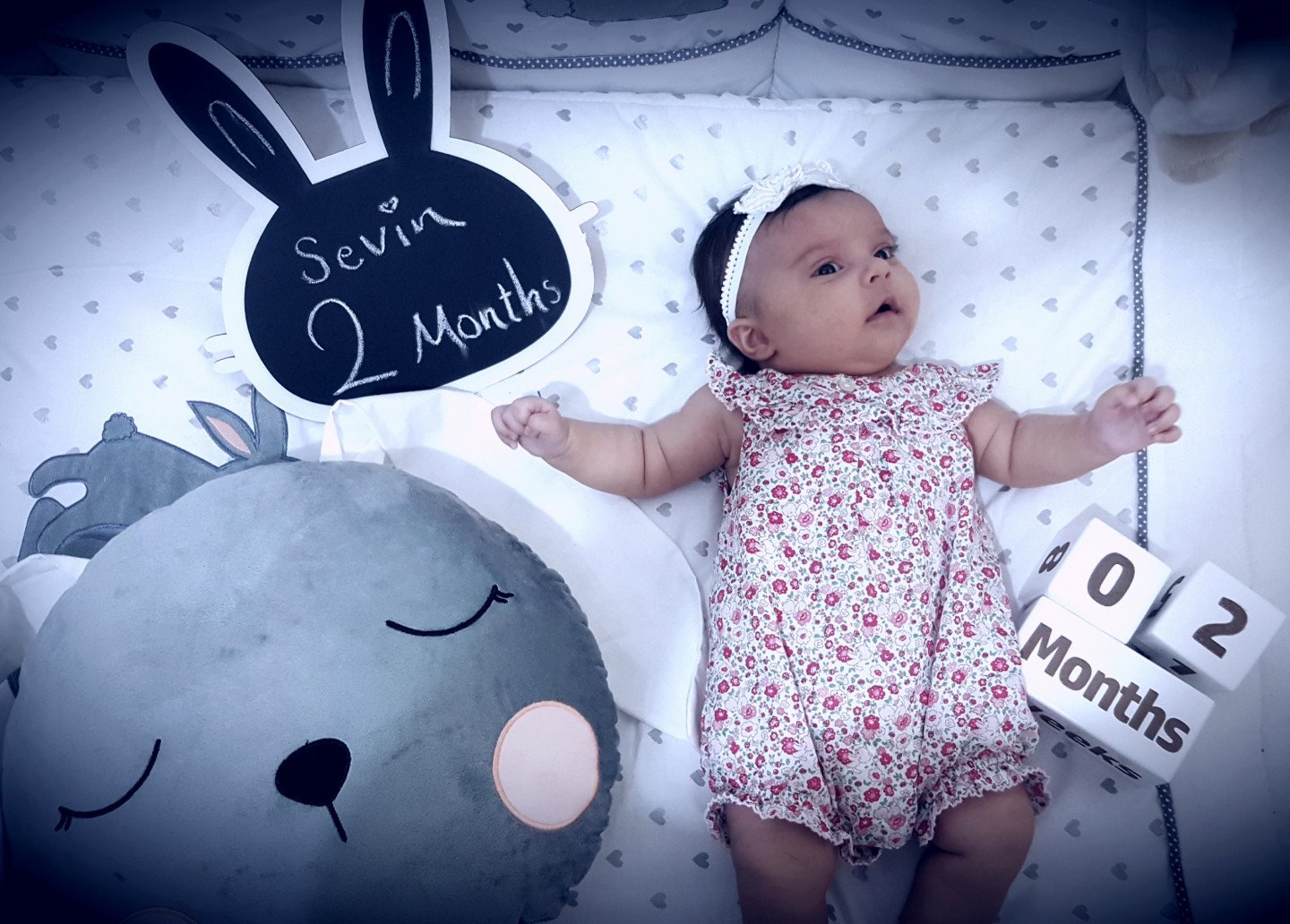 تخته سیاه خرگوشی سوین عباس زاده