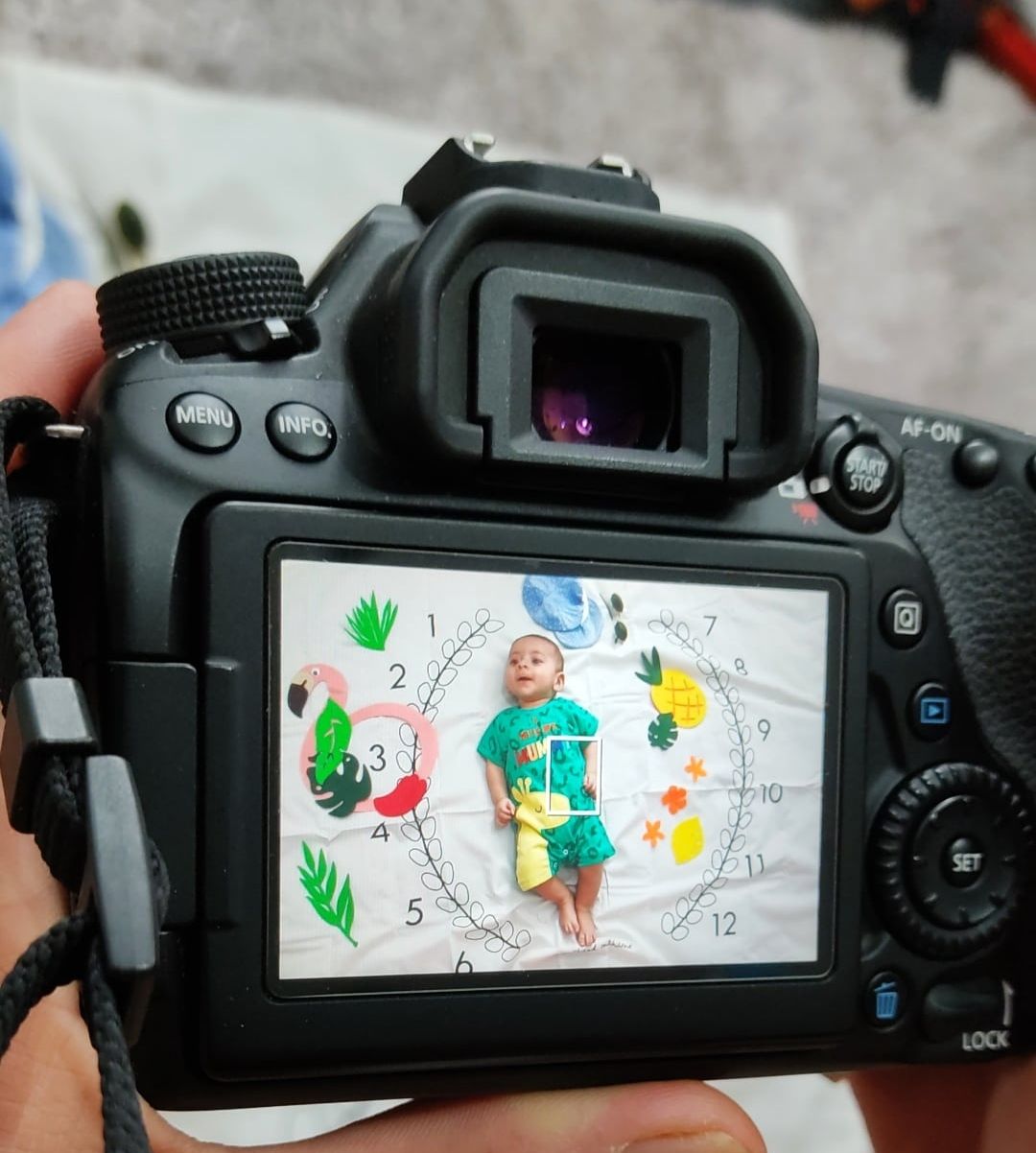 تم تابستانی سانیار