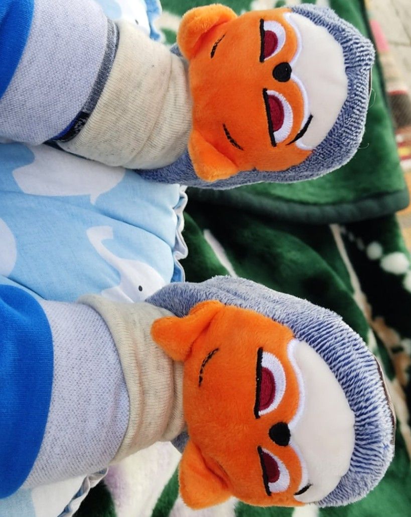 پنج-ماهگی سانیار