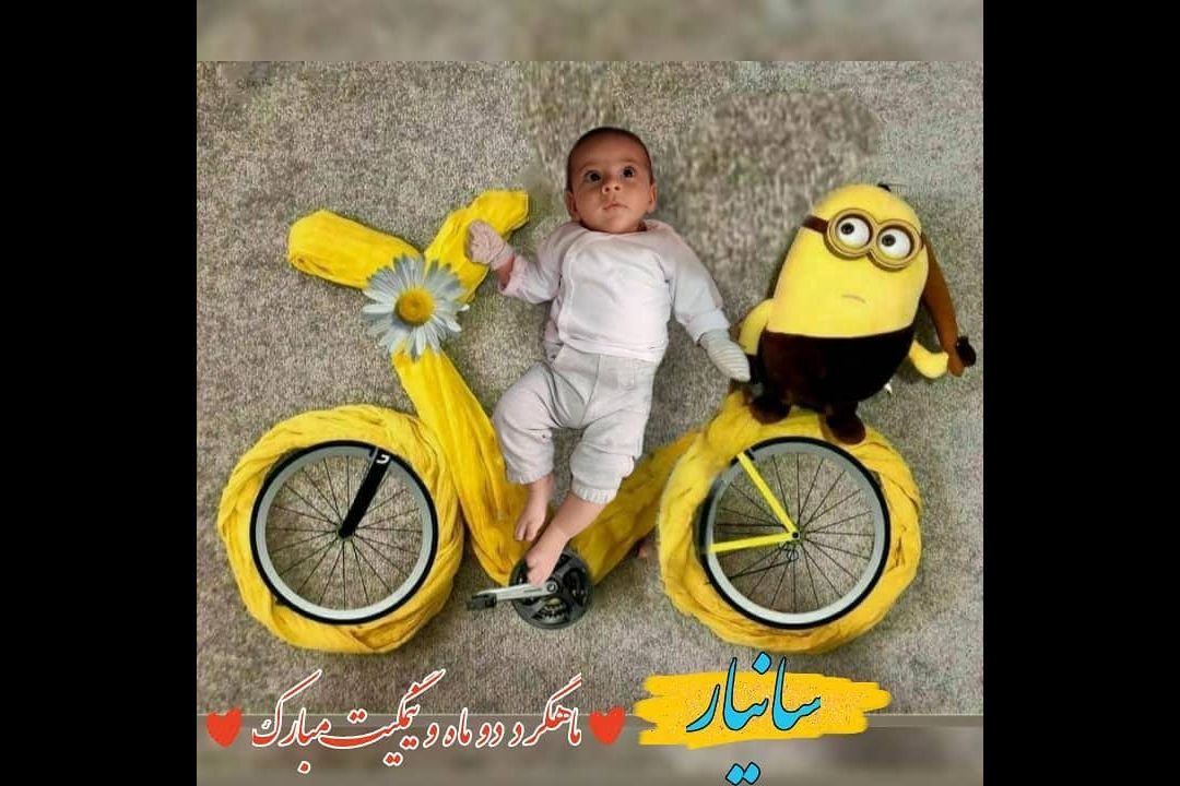 دوماه-۲۲روزگی سانیار