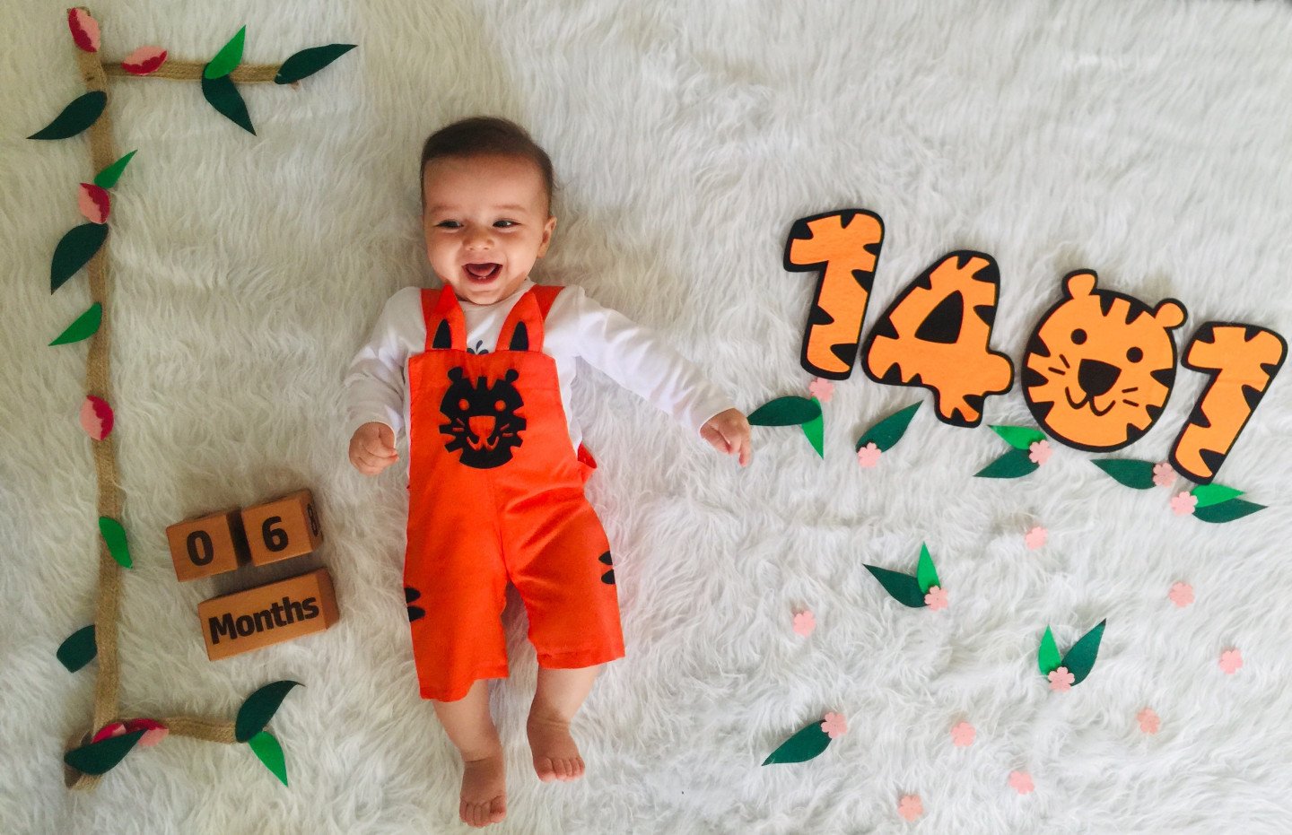 تم عدد سال ببر 1401 نيما كچويي