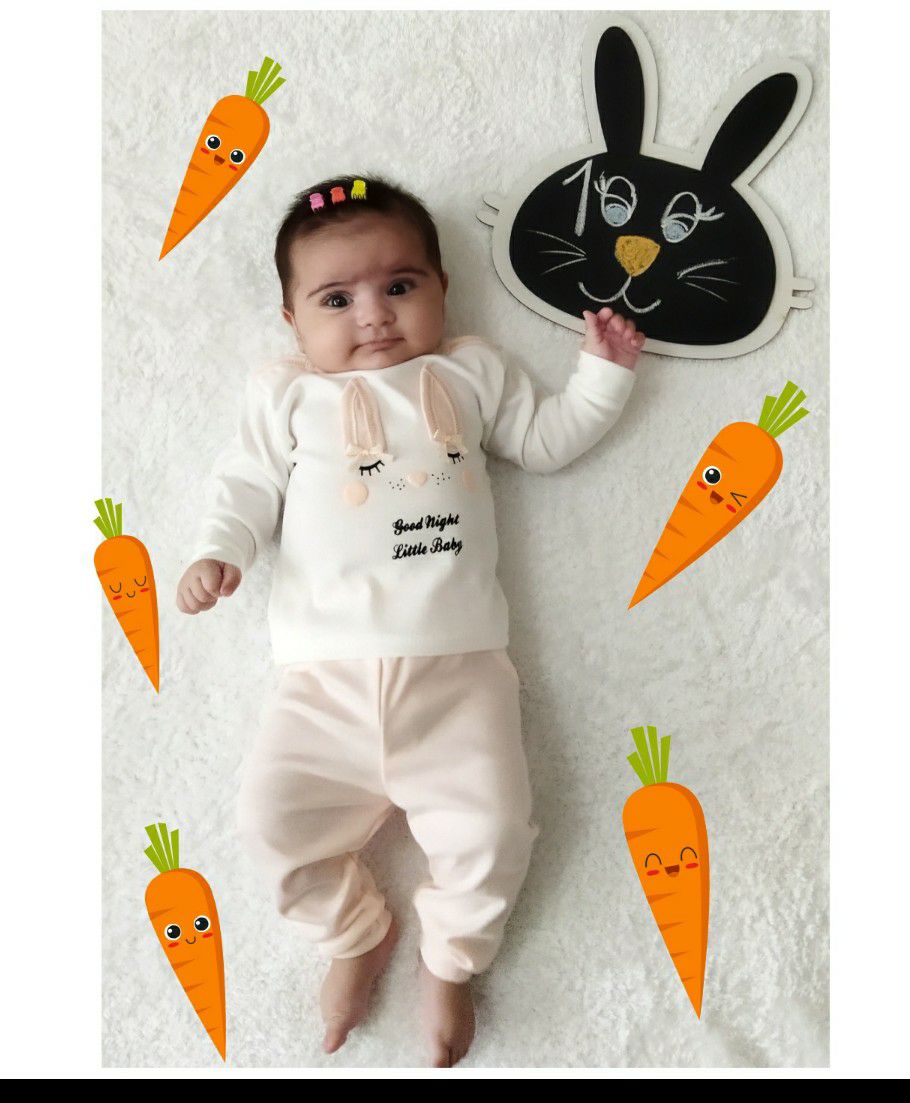 تخته سیاه خرگوشی آنیلا وحیدی نسب