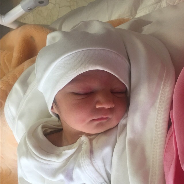 متولد شدن نوزاد آرتميس ضيايي