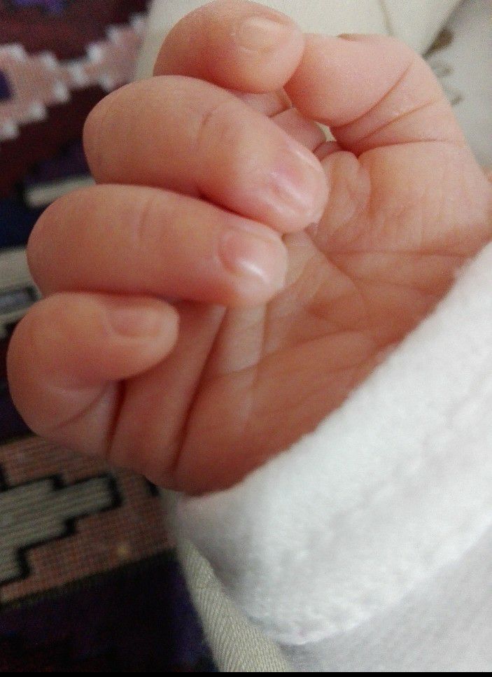 متولد شدن نوزاد پانیذ