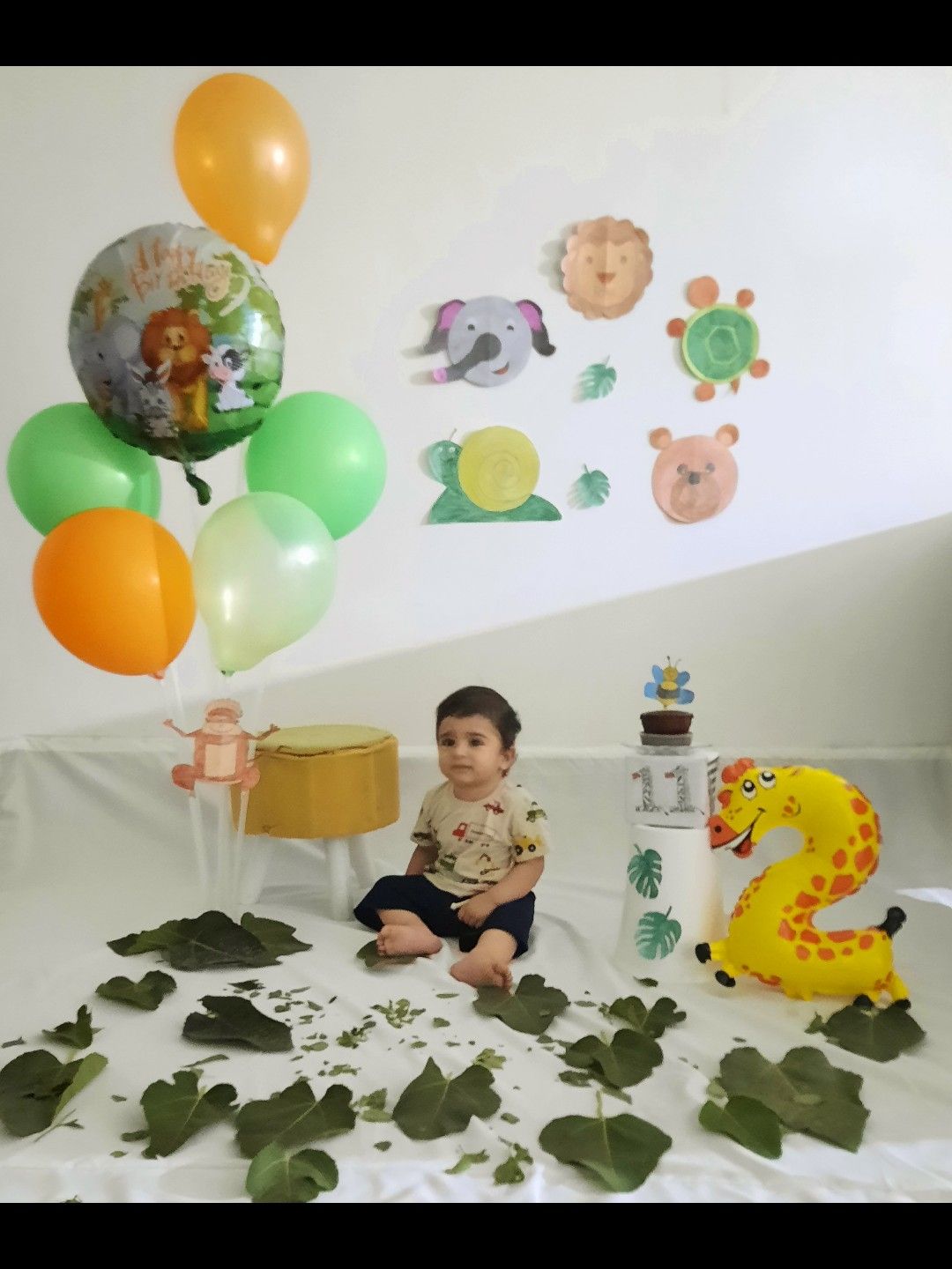 تم-جنگل امیرعلی گودرزی