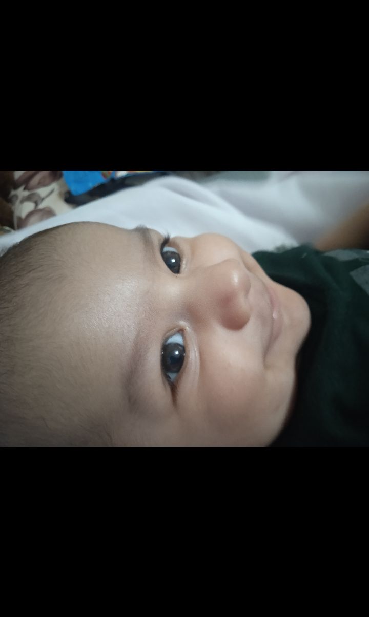 صورت محمدپارسا کریمی فرد