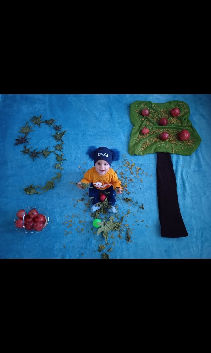 محمد-پارسا محمدپارسا کریمی فرد