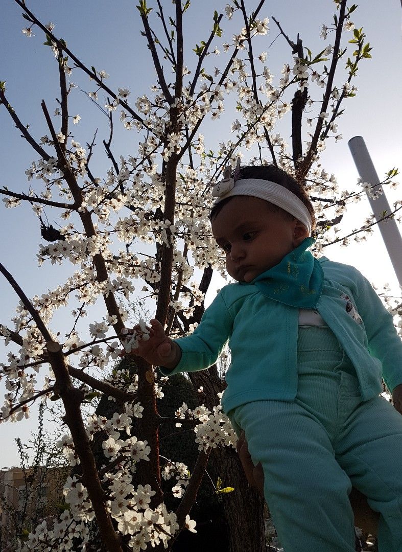 عکس سیزده بدر یاس رازقی