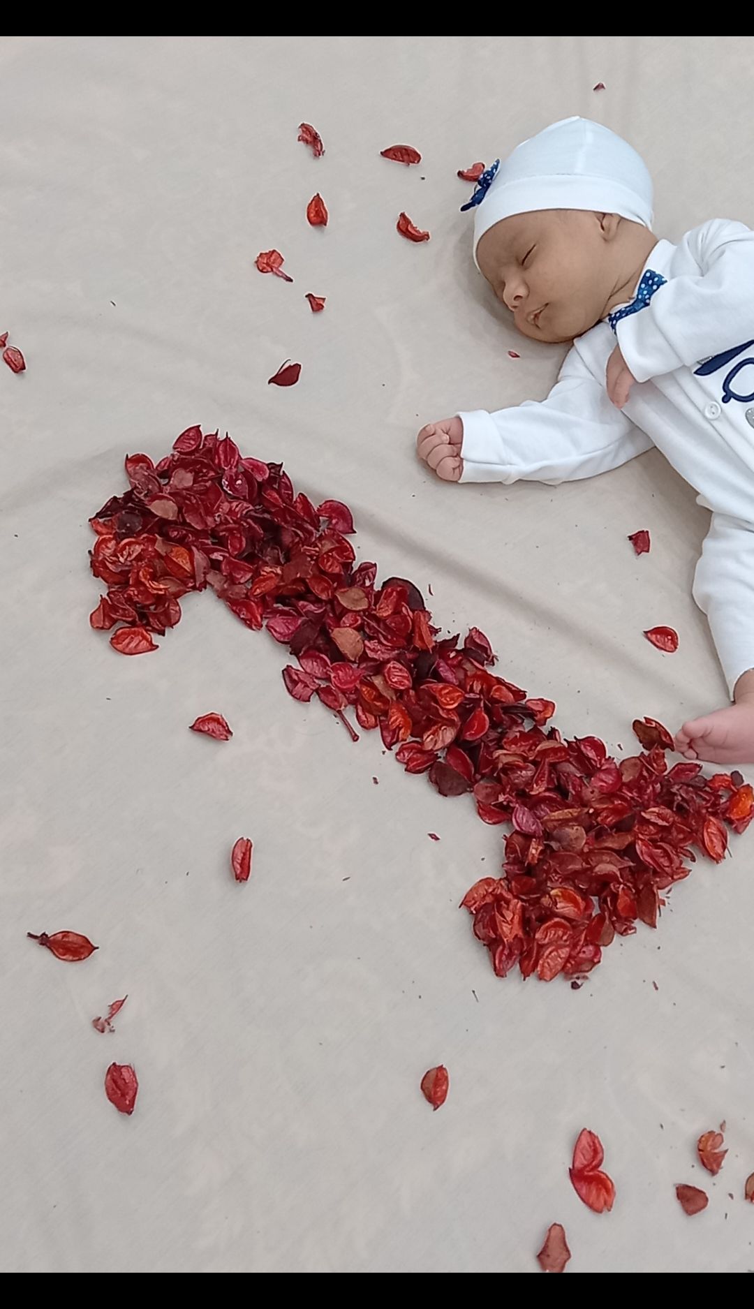 یک ماهگی نوزاد ارکان