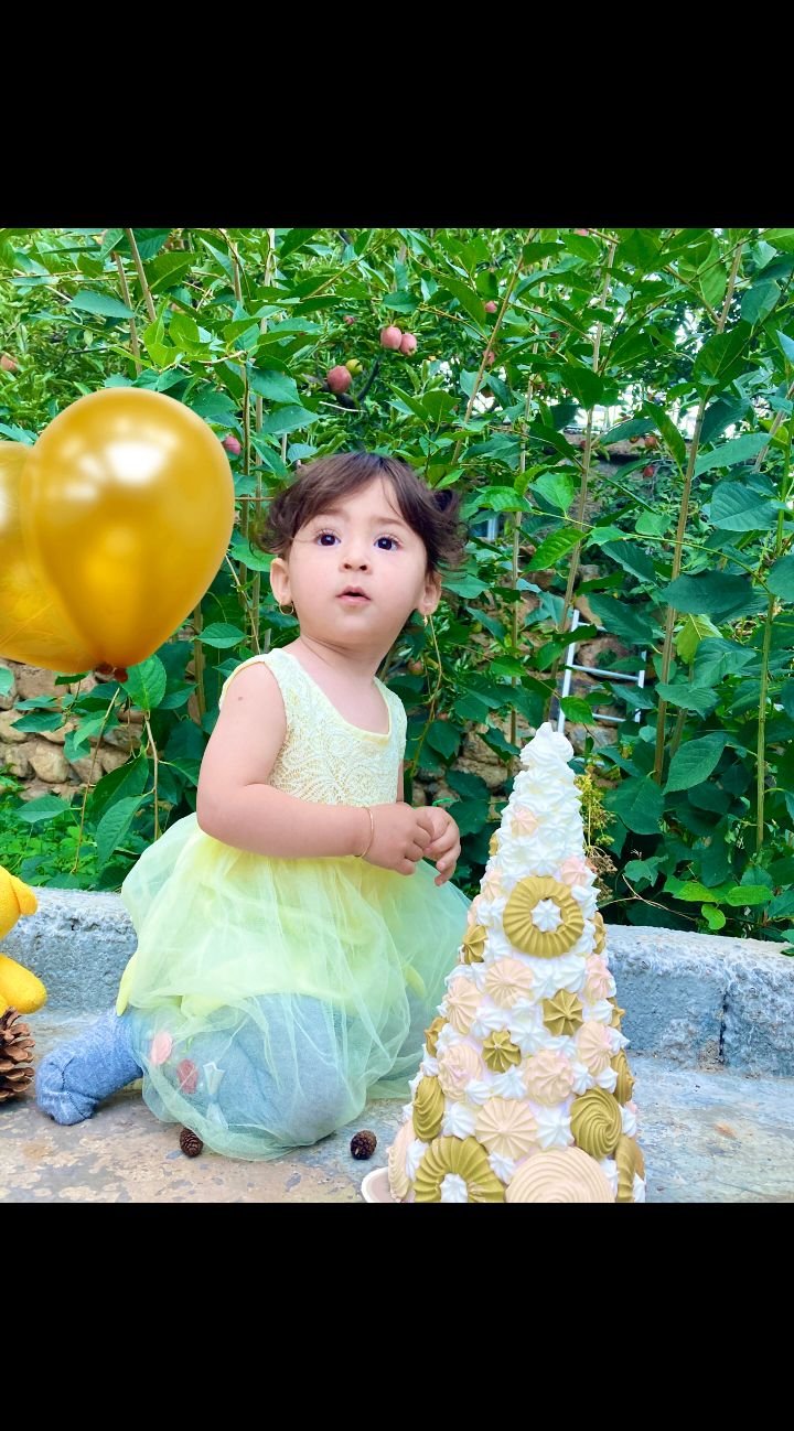 ایده پارمین طوفانی