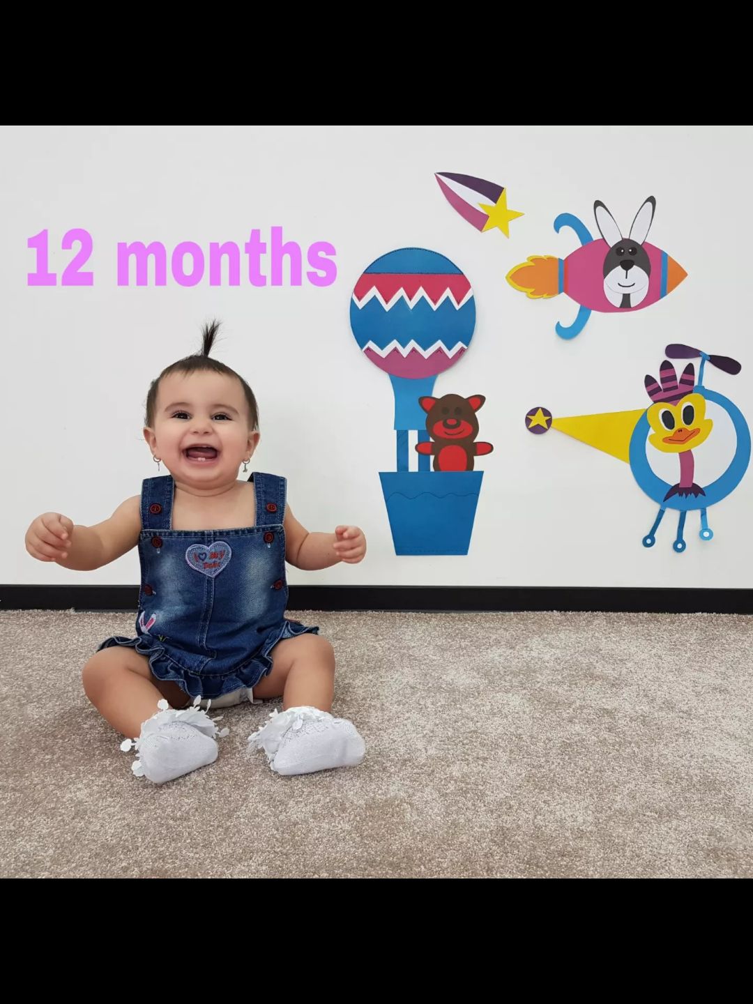 دوازده-ماهگیت-مبارک ستیا