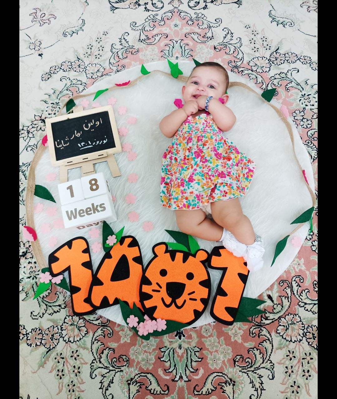 تم عدد سال ببر 1401 شاینا یاغچی