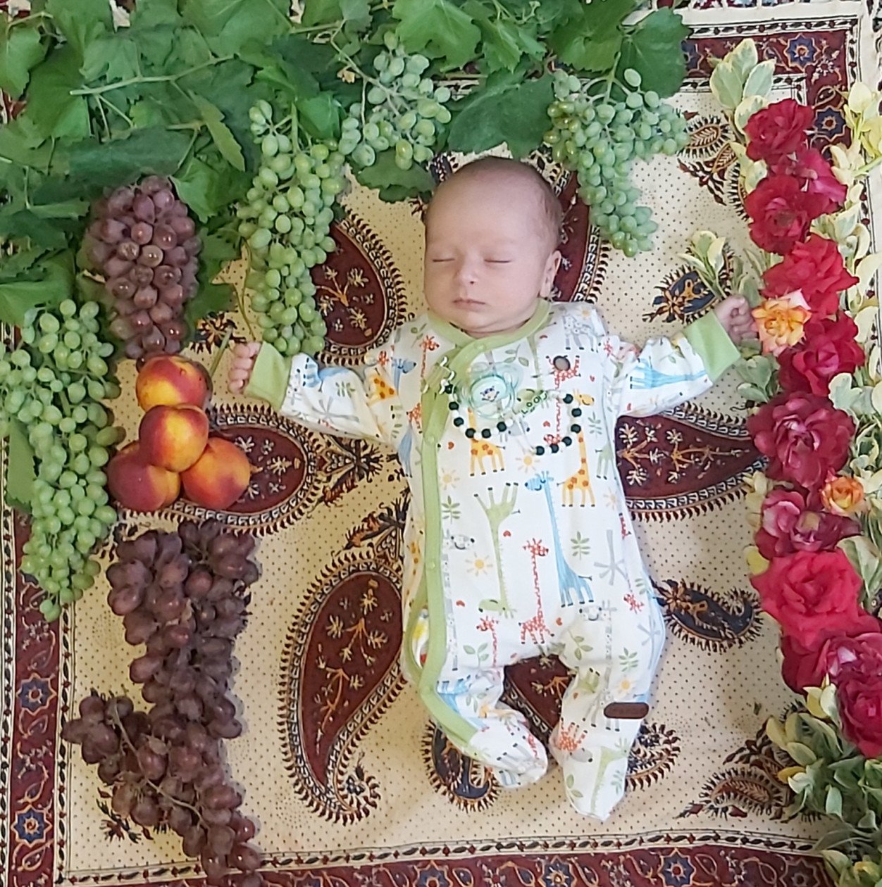 یک ماهگی نوزاد رایمند زاهدمهاجرانی