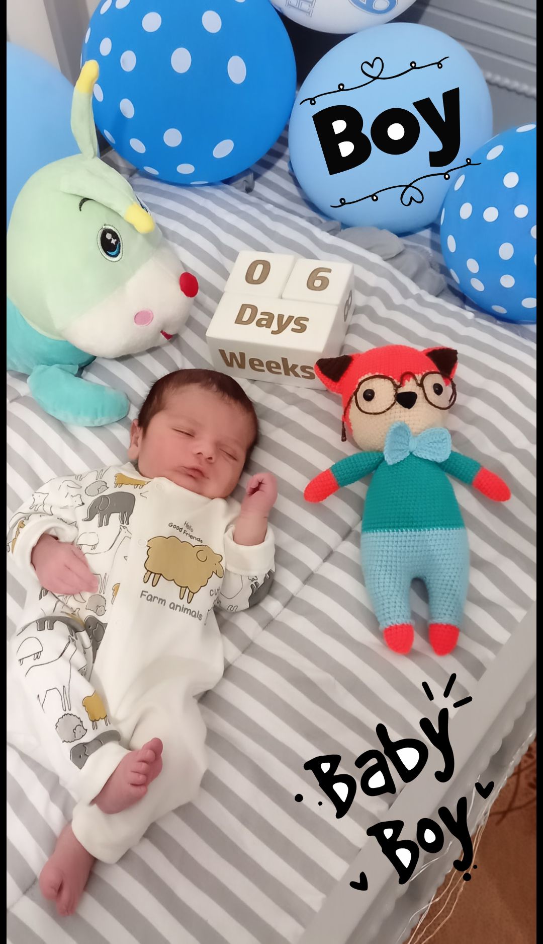 متولد شدن نوزاد کیان