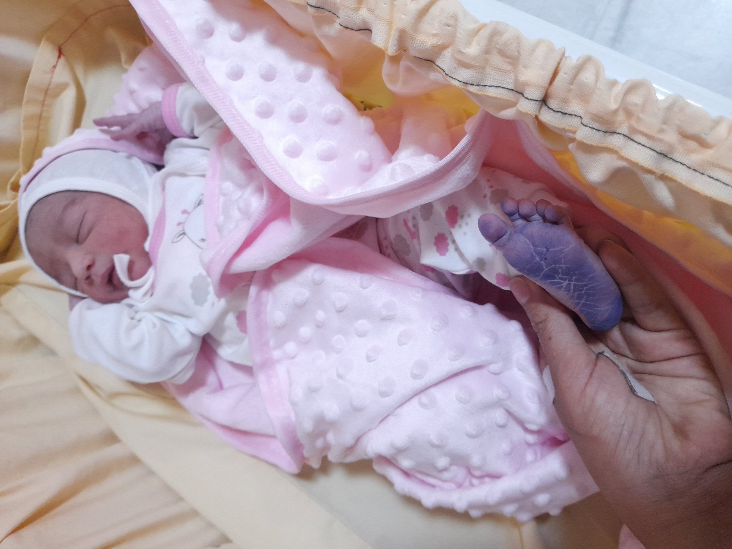 متولد شدن نوزاد ava