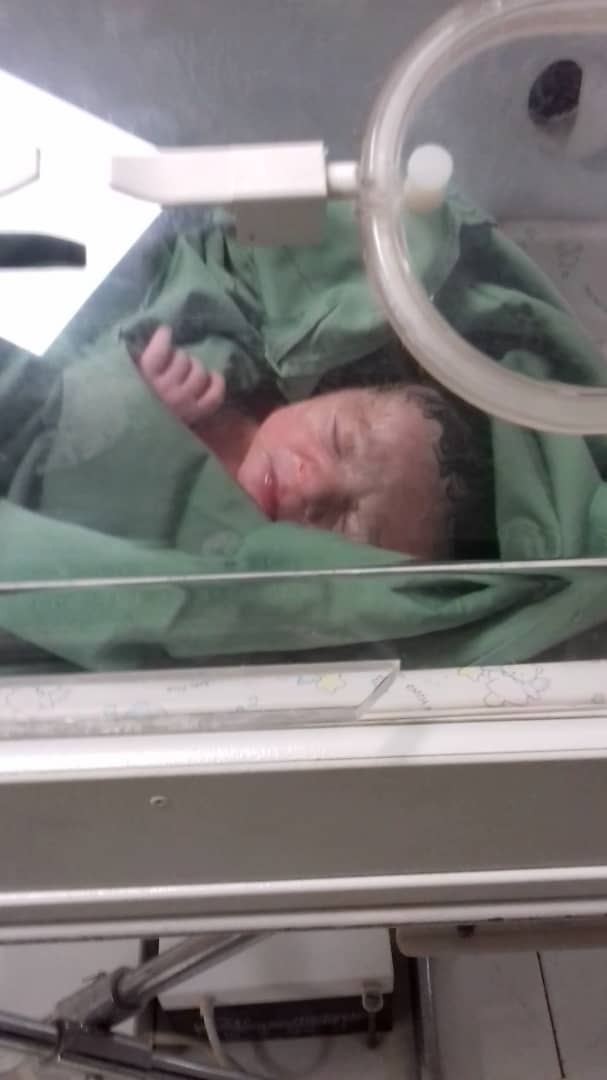 متولد شدن نوزاد شاهان شبانی نایینی