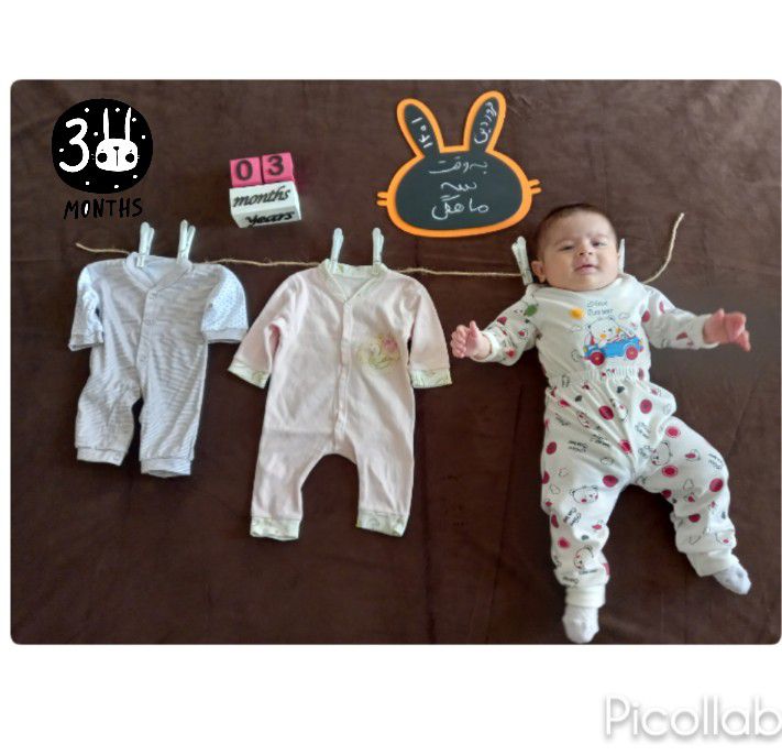 تخته سیاه خرگوشی نفس امیدی