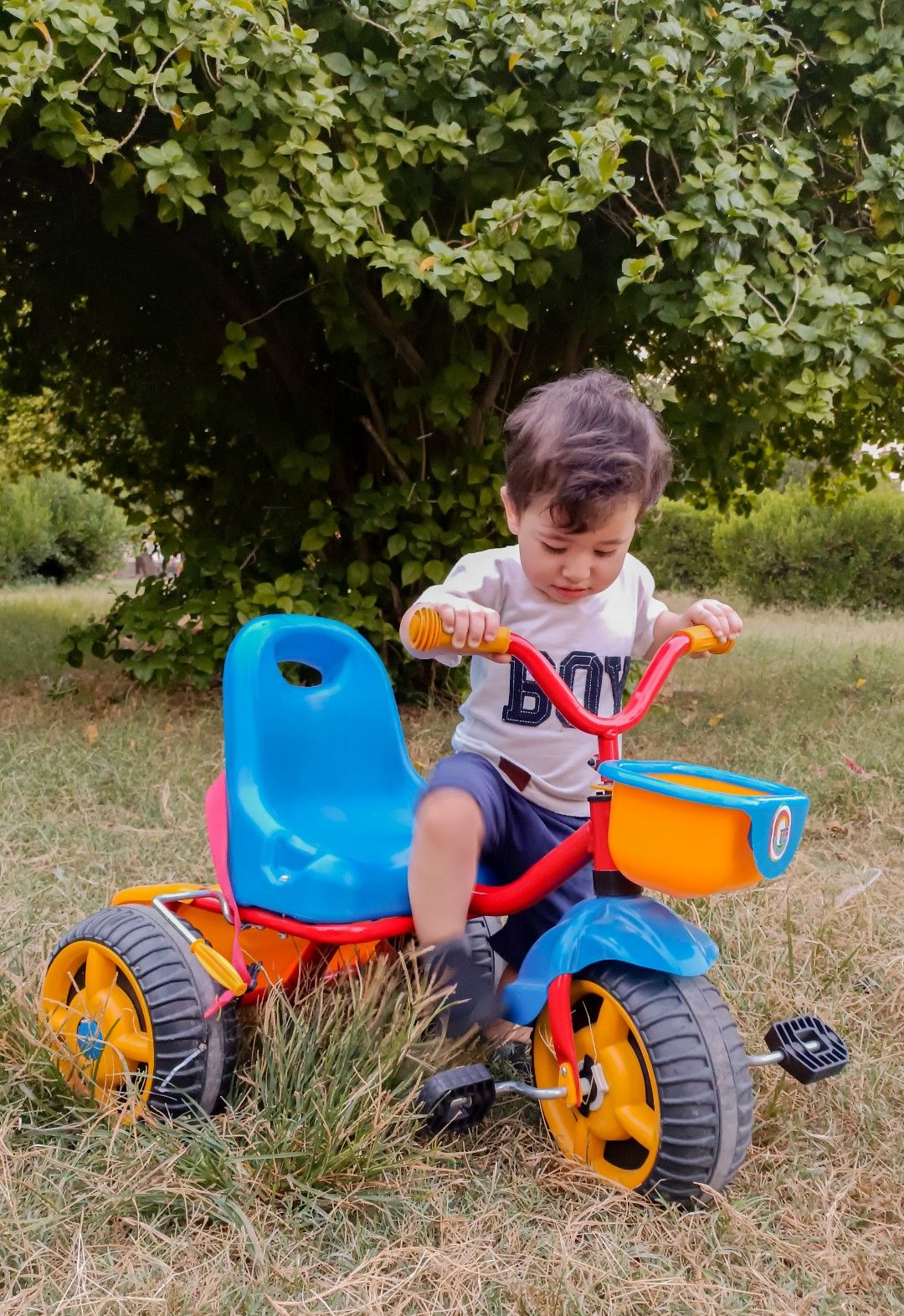 چهارده ماهگی_کودک كميل