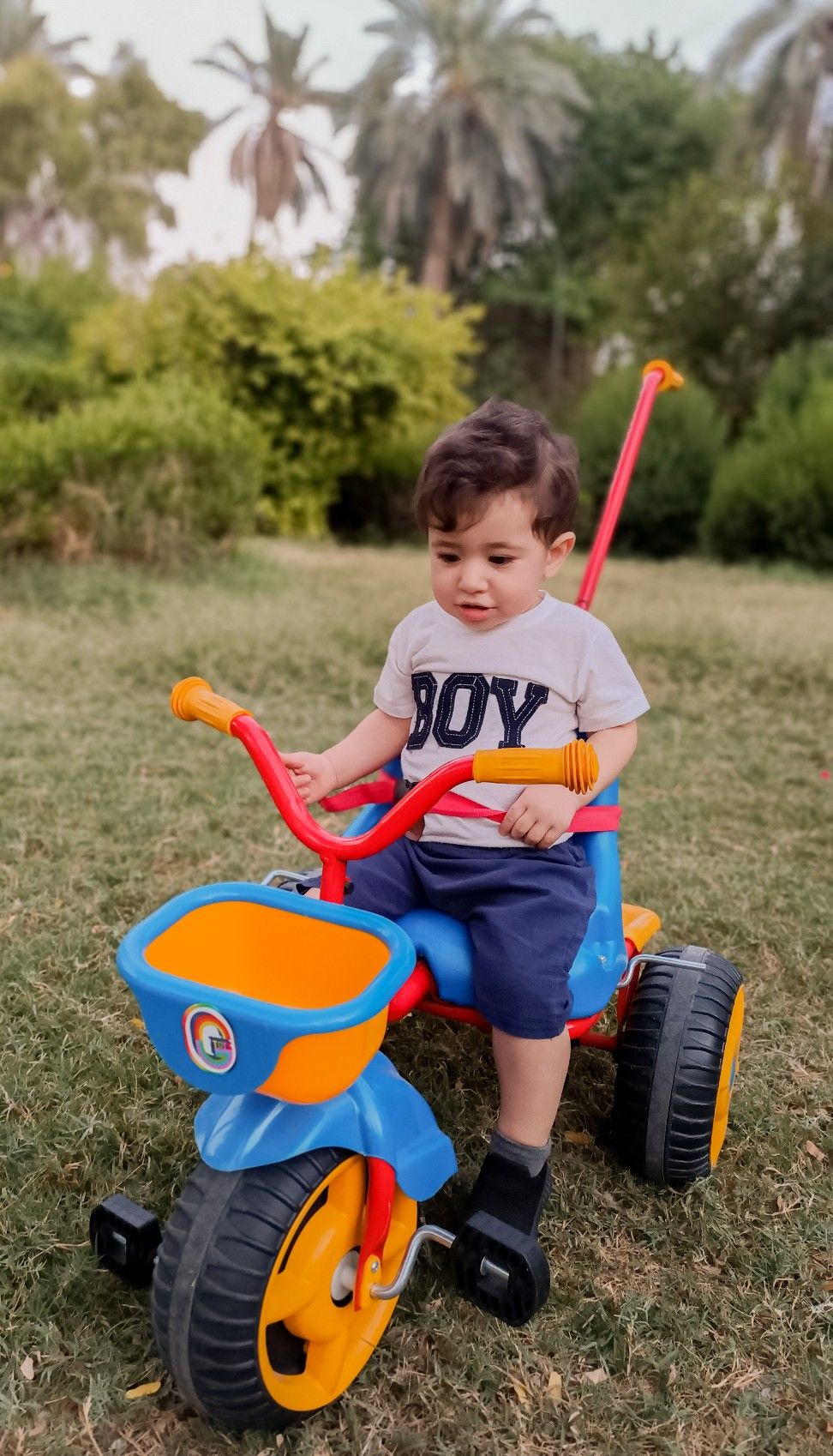 چهارده ماهگی_کودک كميل