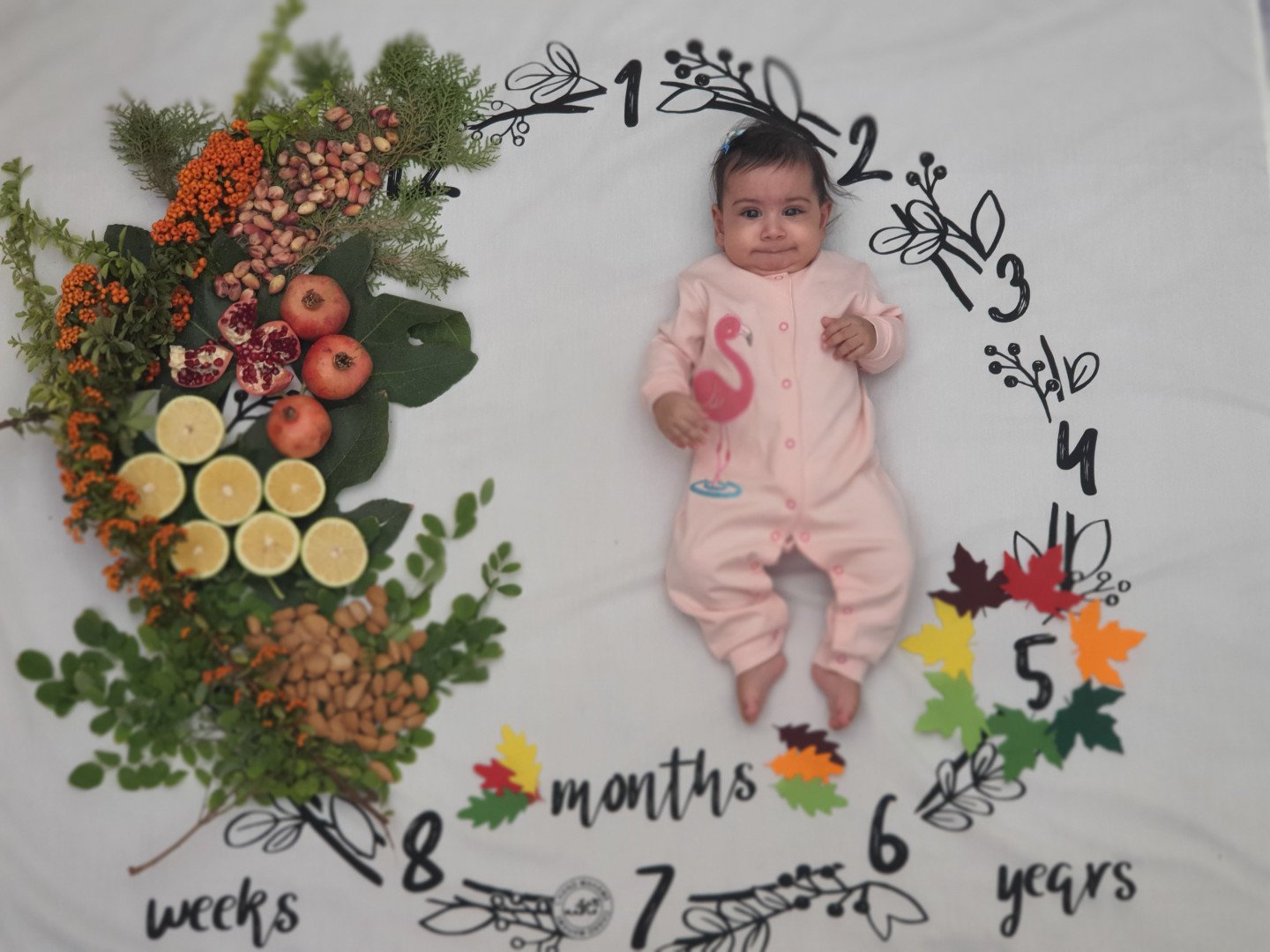 پارچه-ماهگرد-طرح-حلقه-تمشک-47581