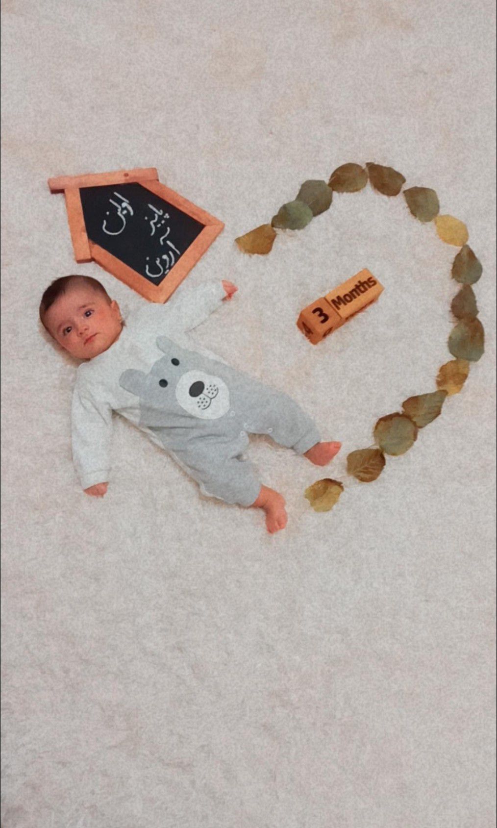 عکاسی با میوه آروین