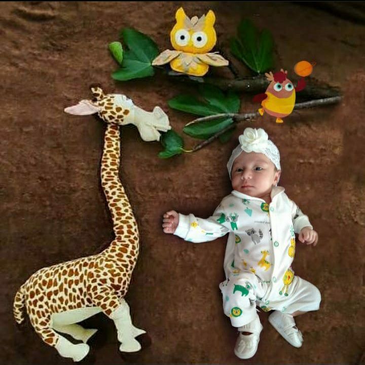 پا لاوین علیانسب