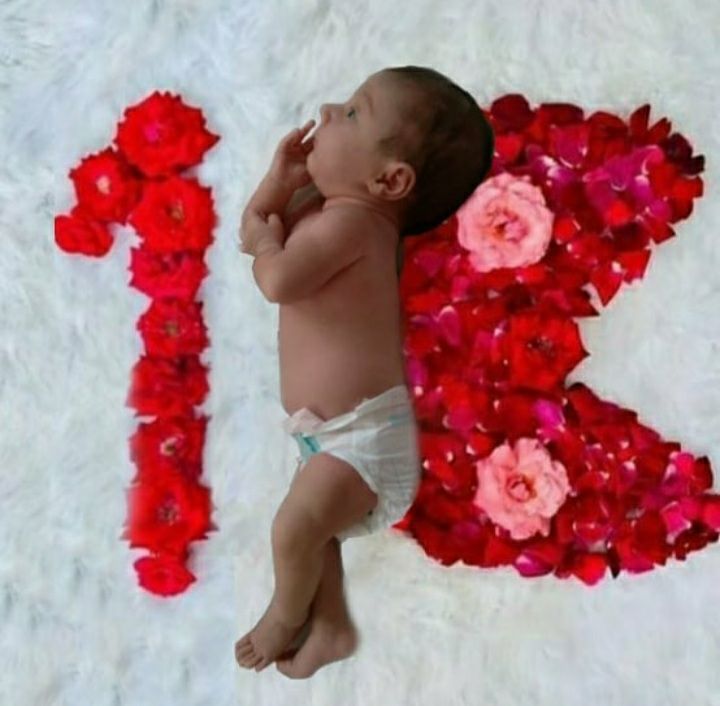 ایده لاوین علیانسب