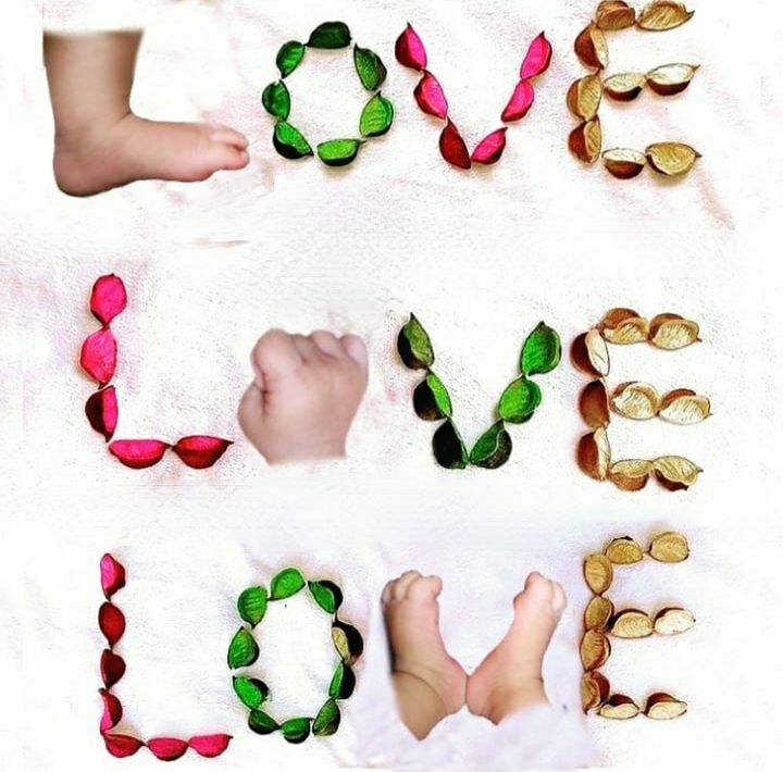 ماهگرد لاوین علیانسب