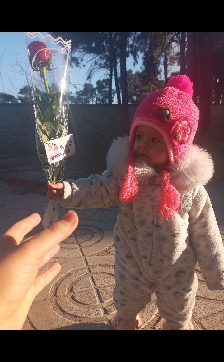 روز-مادر ارغوان